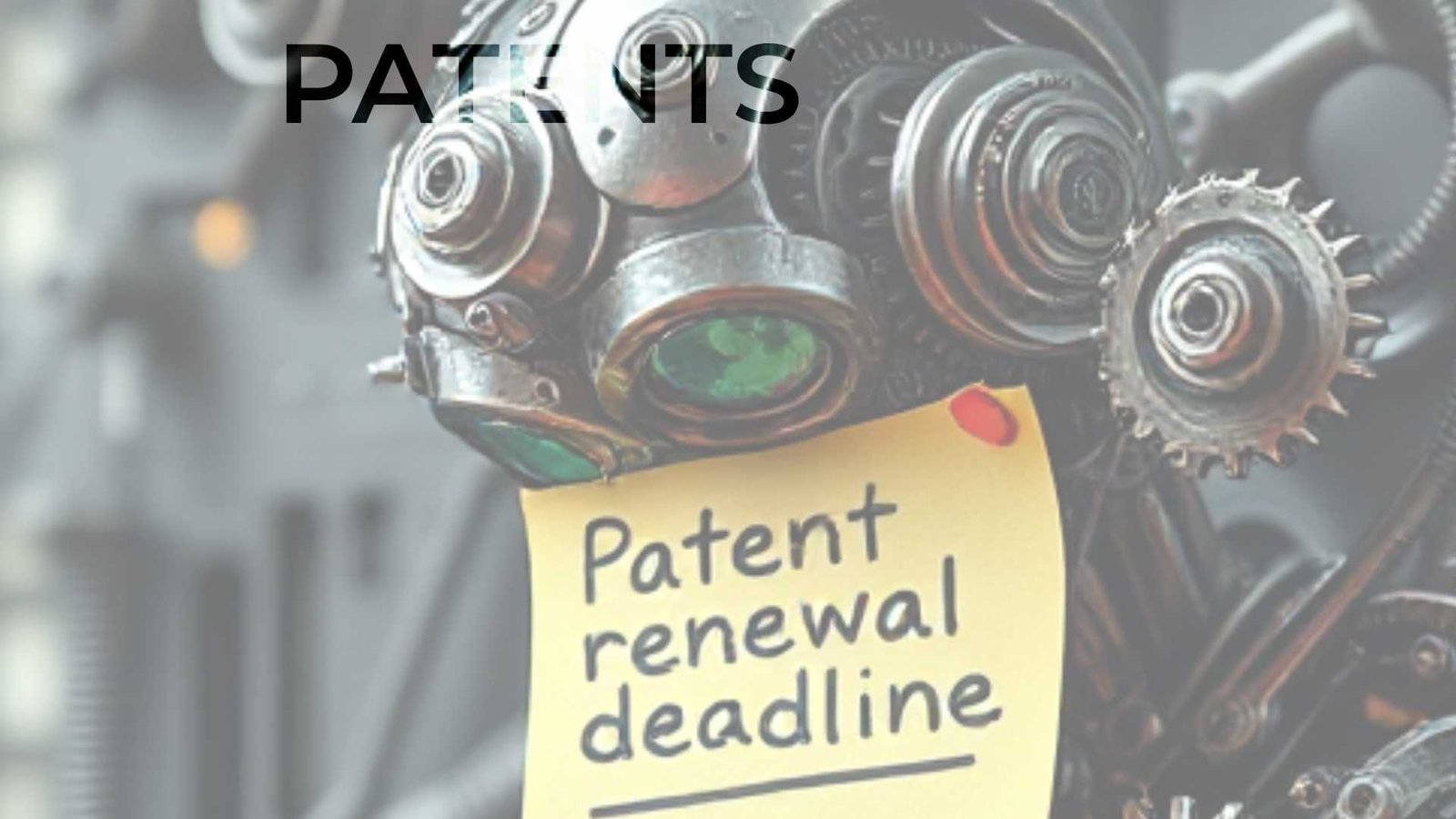 Patent Renewal